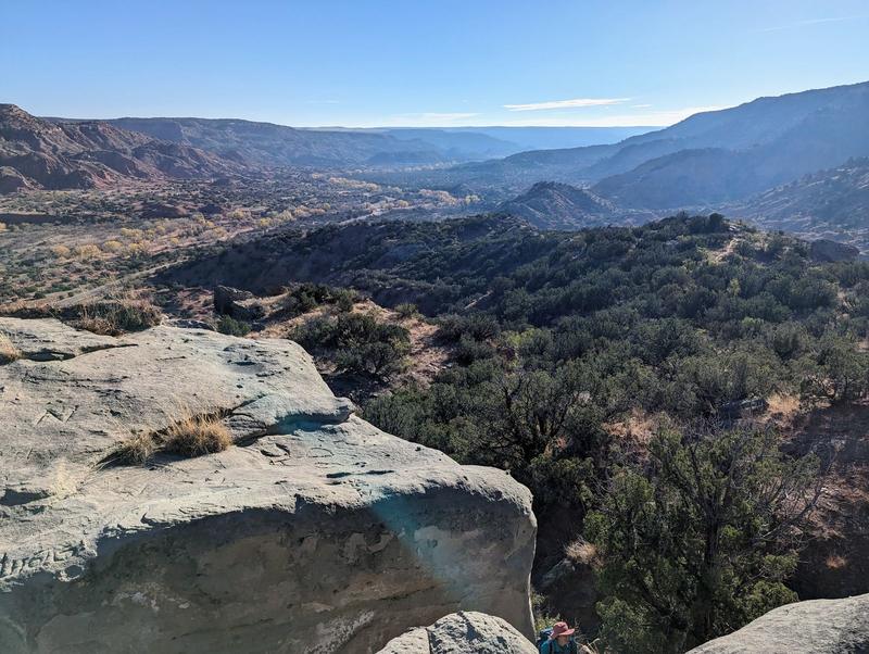 Canyon view from a caprock ledge