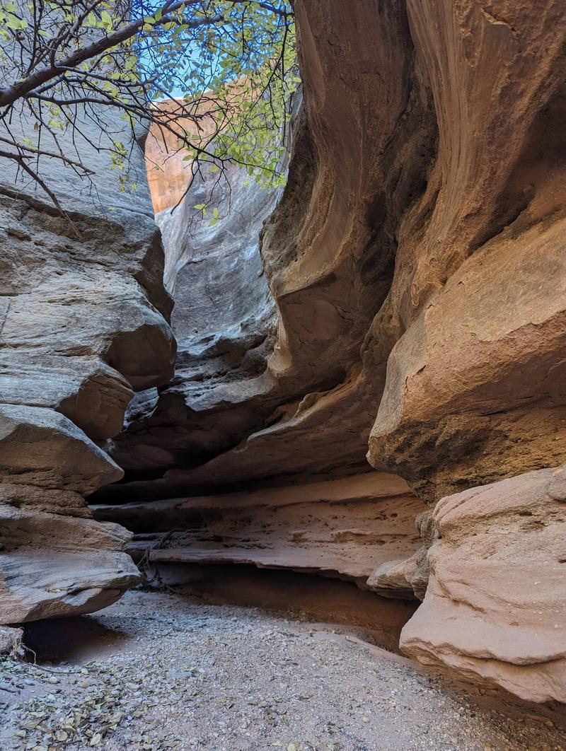 Sculpted slot canyon with sandy floor
