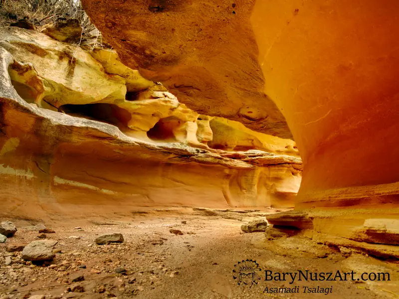 Glowing sandstone walls of a narrow slot canyon in Palo Duro